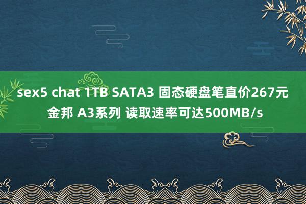 sex5 chat 1TB SATA3 固态硬盘笔直价267元 金邦 A3系列 读取速率可达500MB/s