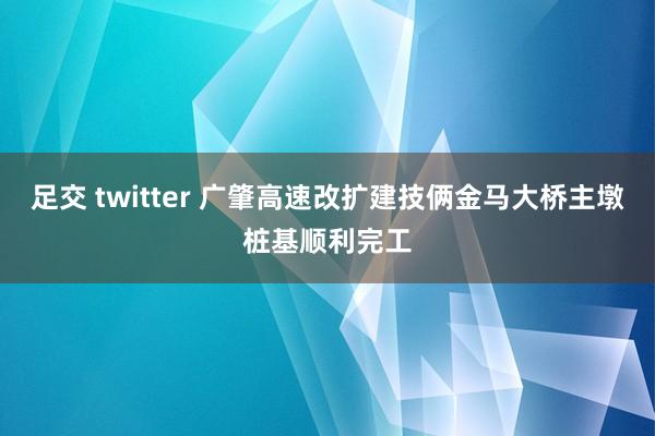 足交 twitter 广肇高速改扩建技俩金马大桥主墩桩基顺利完工