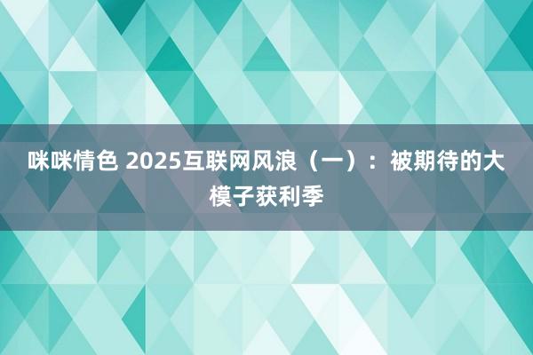 咪咪情色 2025互联网风浪（一）：被期待的大模子获利季