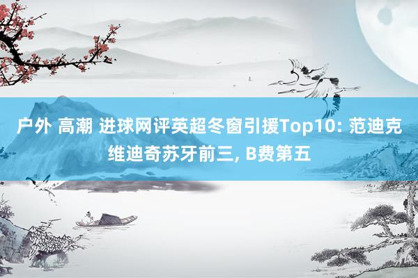 户外 高潮 进球网评英超冬窗引援Top10: 范迪克维迪奇苏牙前三， B费第五