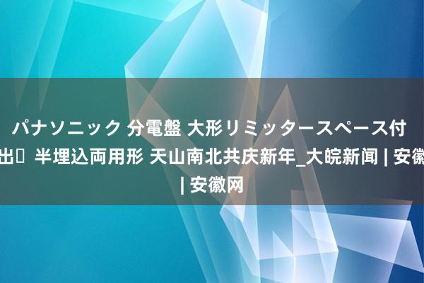 パナソニック 分電盤 大形リミッタースペース付 露出・半埋込両用形 天山南北共庆新年_大皖新闻 | 安徽网