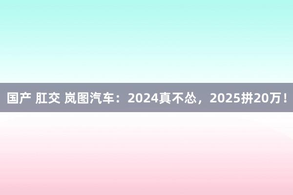 国产 肛交 岚图汽车：2024真不怂，2025拼20万！