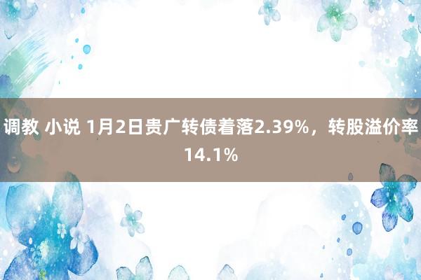 调教 小说 1月2日贵广转债着落2.39%，转股溢价率14.1%