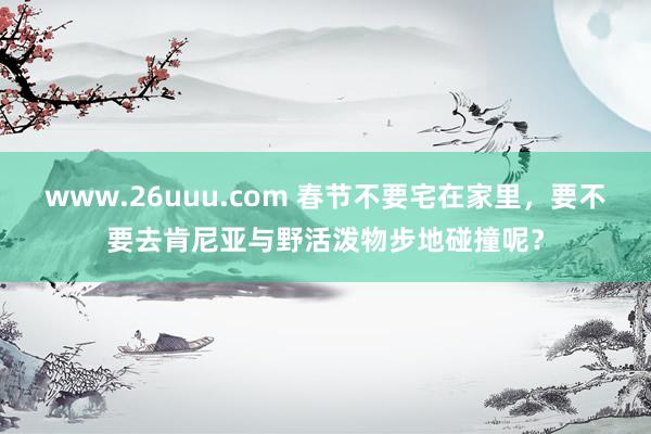 www.26uuu.com 春节不要宅在家里，要不要去肯尼亚与野活泼物步地碰撞呢？