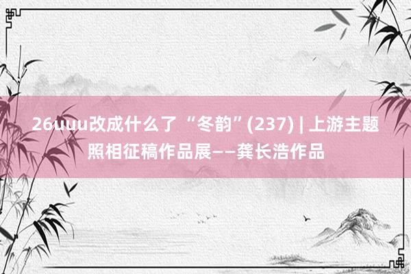 26uuu改成什么了 “冬韵”(237) | 上游主题照相征稿作品展——龚长浩作品