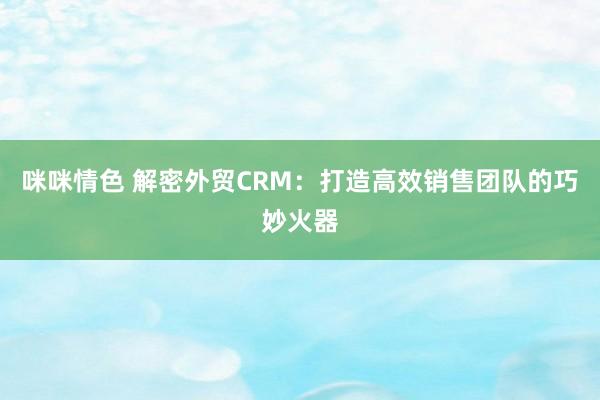 咪咪情色 解密外贸CRM：打造高效销售团队的巧妙火器