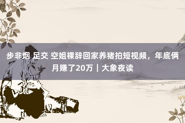 步非烟 足交 空姐裸辞回家养猪拍短视频，年底俩月赚了20万｜大象夜读