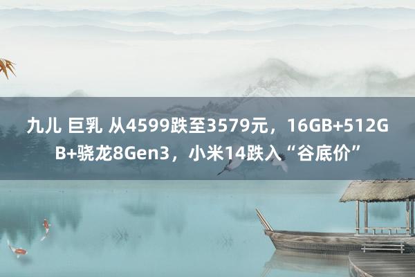 九儿 巨乳 从4599跌至3579元，16GB+512GB+骁龙8Gen3，小米14跌入“谷底价”