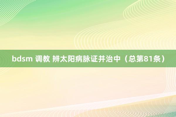 bdsm 调教 辨太阳病脉证并治中（总第81条）